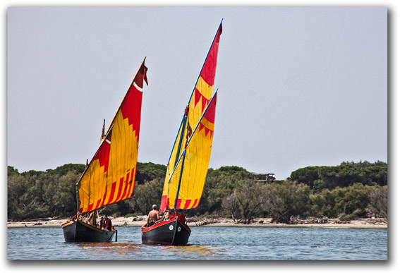 Delta del Po foto di Andrea Samaritani